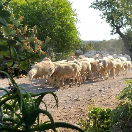 Agroturismo Guillo *